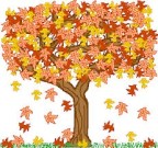 fall tree